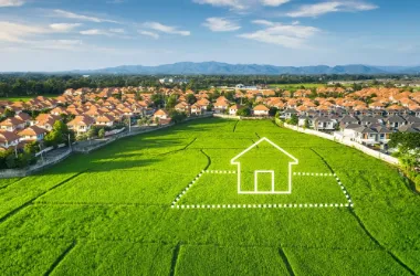Investment Plots